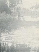 FSB-F-00571-t